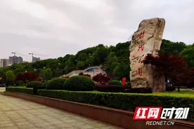 “疫”去春来：邂逅春天之邵阳时代公园图片