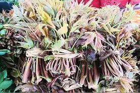 “吃春”去！玉溪野菜正当时图片
