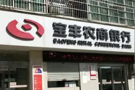 宝丰农商银行20年老职工侵占客户存款16万，被判刑半年图片