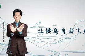 “爱鸟周”活动启动，今年主题：爱鸟新时代，共建好生态图片