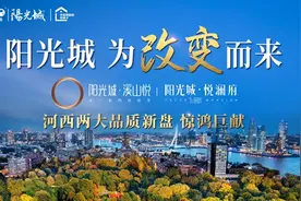 深耕长沙剑指百亿业绩 阳光城双星耀河西图片