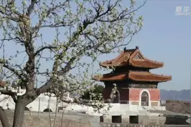 春到清东陵视频封面