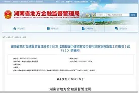 湖南发布小额贷款公司委托贷款业务监管工作指引图片