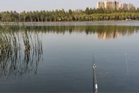 商品渔具很稀松，自己磨刀不误砍柴工图片