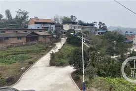 政府种树，村民摘桃！巴南区木洞农村人居环境整治出奇招图片
