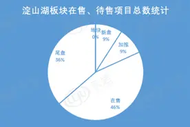 乐居“探春”·淀山湖篇｜别墅减半 1.8万均价哪里值得图片