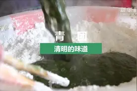 清明的味道——青团视频封面