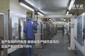 河南外向型企业复工见闻：中原内配的“疫”中突围视频封面