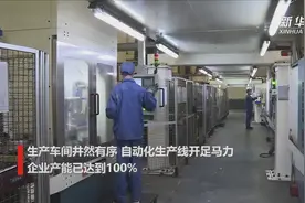 河南外向型企业复工见闻：中原内配的“疫”中突围视频封面