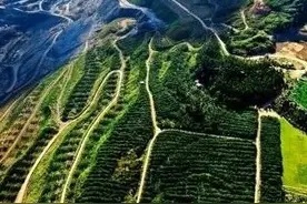 陕西省36家矿山入选全国绿色矿山名录，煤矿占了一大半图片