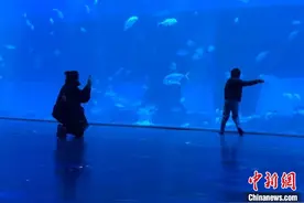 “星星孩子”家长心声：希望社会给予更多接纳和包容图片