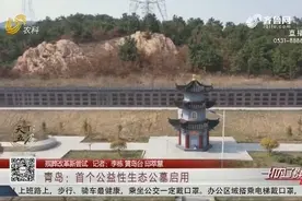 殡葬新风尚！青岛启动首个公益性生态公墓，多种生态葬法可供选择视频封面