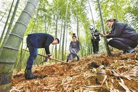 30个团队现场直播助农销售图片