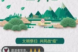挡不住的思念“云”上见：代种花田、代为祭拜成清明主流祭扫方式图片