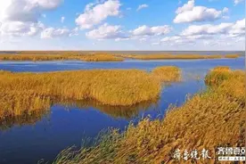 清明假期来黄河口生态旅游区 迎春踏青 赏“醉”美春光图片