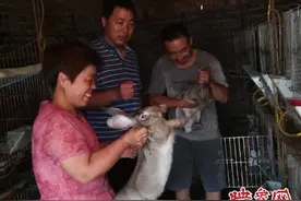 禹州：帮扶到实处 村民脱贫干劲足图片