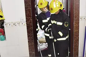 眼镜蛇盘踞卧室 屯昌消防员紧急抓捕图片