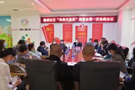 同乐街道鑫城社区召开“协商在基层”理事会第一次会议图片
