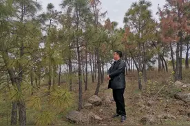 明光市自来桥镇“五加强”做好森林防灭火工作图片
