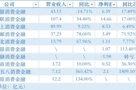 持牌消费金融公司业绩“排排坐”：招联消金营收破百亿，华融消金惨淡巨亏2亿图片