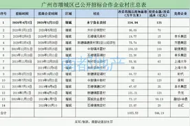 广州增城第一大旧村改造招亲，没500亿身家别来图片