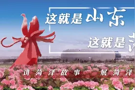 这就是山东 抖一抖牡丹图片