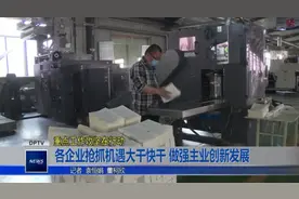 东平县各企业抢抓机遇大干快干，做强主业创新发展图片
