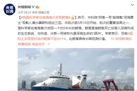 南海首次发现鲸落意味着什么？鲸落是什么 南海发现鲸落有哪些意义图片