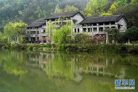 大别山区——那一抹亮色图片