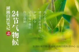 湖湘自然笔记·我们的24节气物候记丨谷雨图片