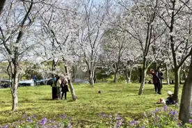 清明踏春好时节 共青森林公园发布赏花指南图片