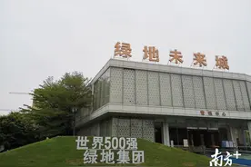 悬而未决的复工 佛山绿地未来城业主的漫长等待图片