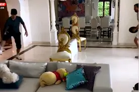 平底锅打网球 泡冰水澡 德约的世界很难懂视频封面