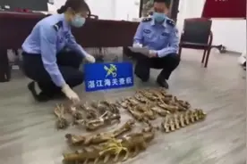 一公斤的犀牛角！广东湛江海关破获一起涉嫌走私珍贵动物制品案视频封面