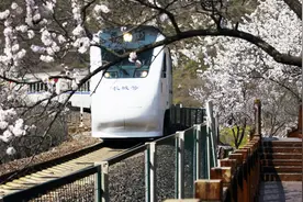 「新华云直播」邀你共乘花海列车，登居庸关长城，品味春之婀娜视频封面
