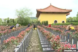 江西南昌清明祭扫“触网”“代祭扫”兴起成主流图片