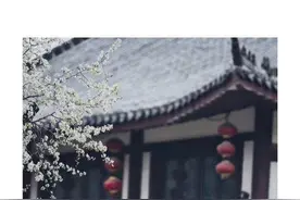 清明忆｜梨花风起正清明图片