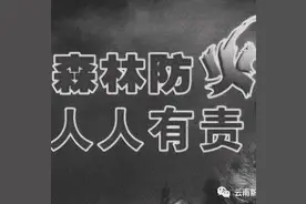 请收取这份《森林草原防灭火安全手册》图片