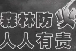 请收取这份《森林草原防灭火安全手册》图片