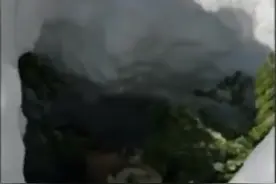 加拿大男子营救被困在雪地深坑里的麋鹿图片