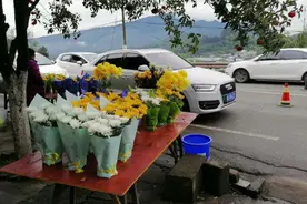 四川：清明迎祭扫高峰 远程代客祭扫受青睐图片