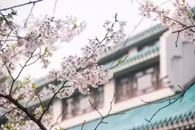 疫情下的清明节：最美四月天，读懂人生意义图片