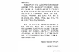 回国机票炒到10多万元！揭开“天价票”背后的黑幕图片