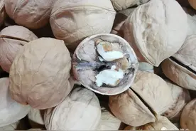 薄皮核桃｜王族图片