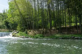清明·旧文新读｜张洁：世界上最疼我的那个人去了图片
