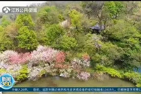 南京栖霞山：各色桃花引游人驻足，“五色桃花”等你来“打卡”！视频封面