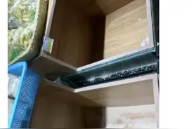 囤大米？囤粮食？官方回应：没必要图片