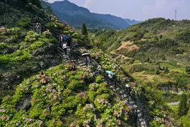 连轴转了两个多月，好想穿上漂亮裙子去郊游图片
