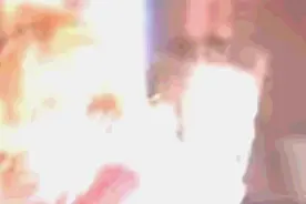 既制毒何佣卒：揭秘安布雷拉伞下的私人军队图片
