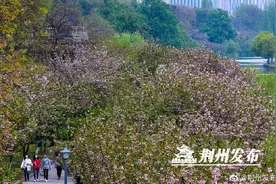 清明小长假，荆州古城恢复昔日“烟火气”图片
